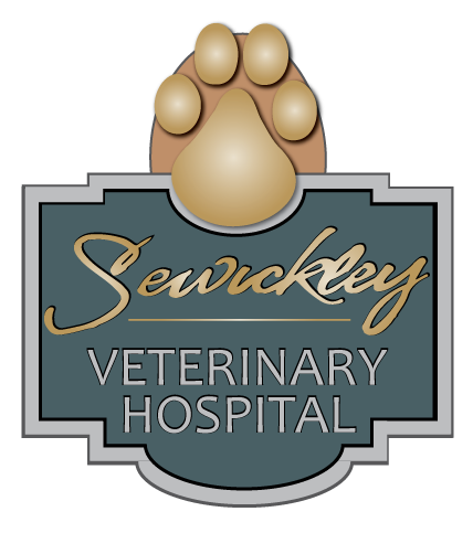 Camp horne hot sale veterinary hospital